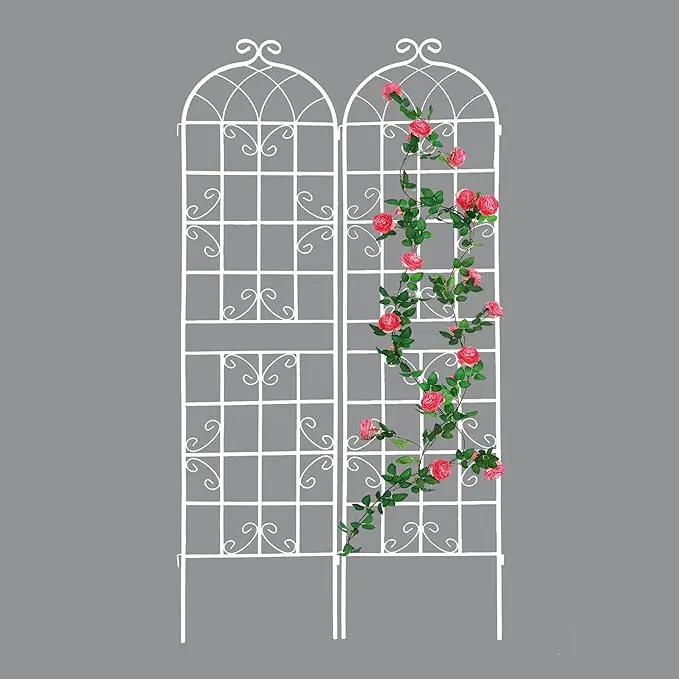 2 Pack Metal Garden Trellis 71" H Fence Rustproof Garden Trellis for Climbing Plants Support Roses Flower Outdoor Lawn, Cream White by GreenHaven Gardens