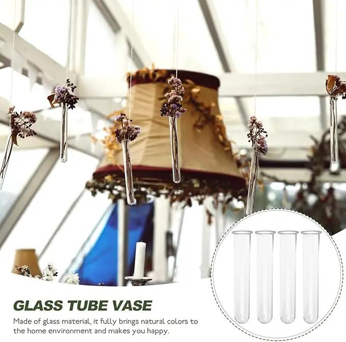 Alipis 4pcs Glass Propagation Stations Accessories Glass Test Tubes Tiered Planters Wall Terrarium for Home Office Plant Hanger Flower Vases Wall Decor Hydroponic Cuttings by GreenHaven Gardens