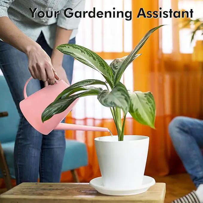 Watering Can for Indoor Outdoor Plants, Modern Small Watering Cans with Removable Nozzle, Long Spout Watering Can for Indoor Bonsai Plants Garden Flowers 1/2 Gallon 1.8L 60OZ (Pink) by GreenHaven Gardens