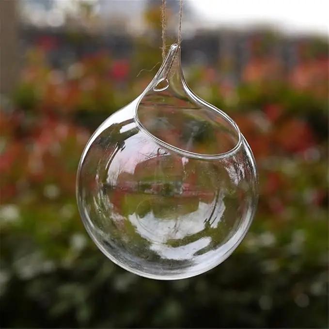 Ivolador Hanging Planter Glass Terrarium Container Air Plant Holder Succulents Globe Shape Home Garden Decor-4.7 Inches-3PCS by GreenHaven Gardens