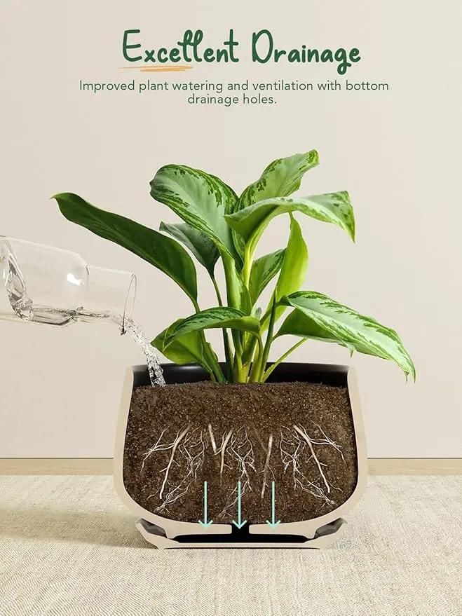 LE TAUCI Plant Pots, 4.1+5.1+6.5 inch, Set of 3, Ceramic Planters with Drainage Hole and Saucer, Indoor Flower Pot with Hole Mesh Pad, Gifts for Mom, Black by GreenHaven Gardens
