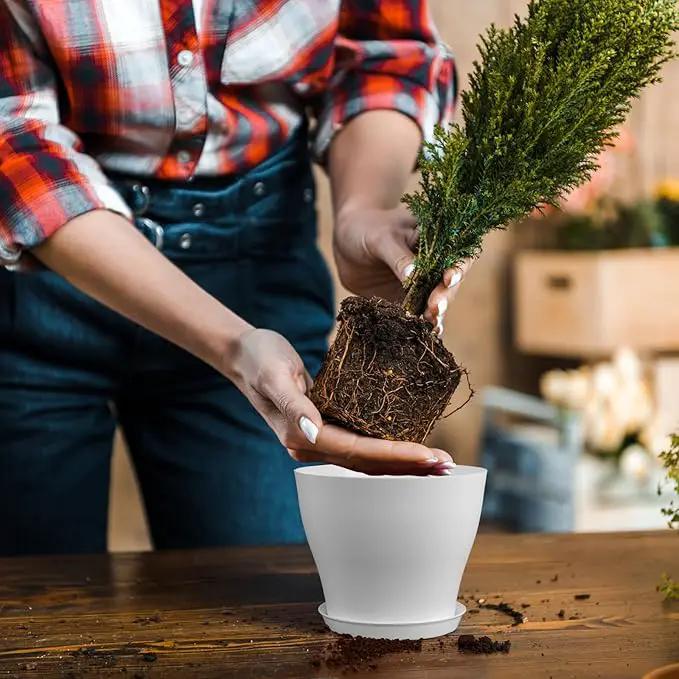 6 inch Plastic Nursery Pots, Seedling Pots, 16 Pack Plant Pots for Small Indoor Outdoor Plants, Flower Pots with Drainage Holes and Saucers, Decorative Planters for House Plants, White by GreenHaven Gardens