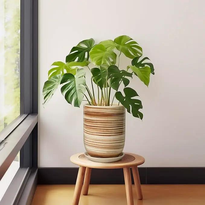8 Inch Plant Pot, Ceramic Planter for Outdoor Plants, Large Plant Pot Indoor with Drainage Hole and Saucer, Modern Flower Pot for Home Garden Decor Yellow by GreenHaven Gardens