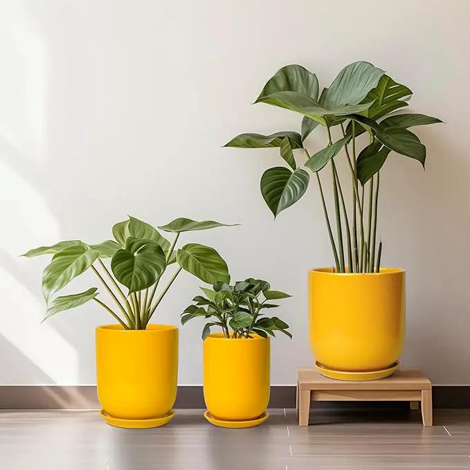 Plant Pot 8 Inch - Ceramic Plant Pot with Drainage Hole and Saucer Large Planter for Indoor Plants Outdoor Modern Flower Pot for Home Garden Decor Yellow by GreenHaven Gardens