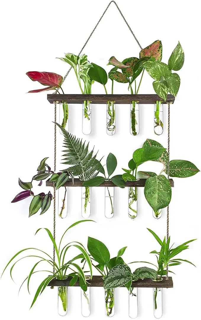 Ivolador Hanging Plant Propagation Tubes,3 Tiered Wall Hanging Terrarium Flower Planter Vase for Hydroponic Plants Cutting Home Office Garden Decor Plant Lover Gift by GreenHaven Gardens