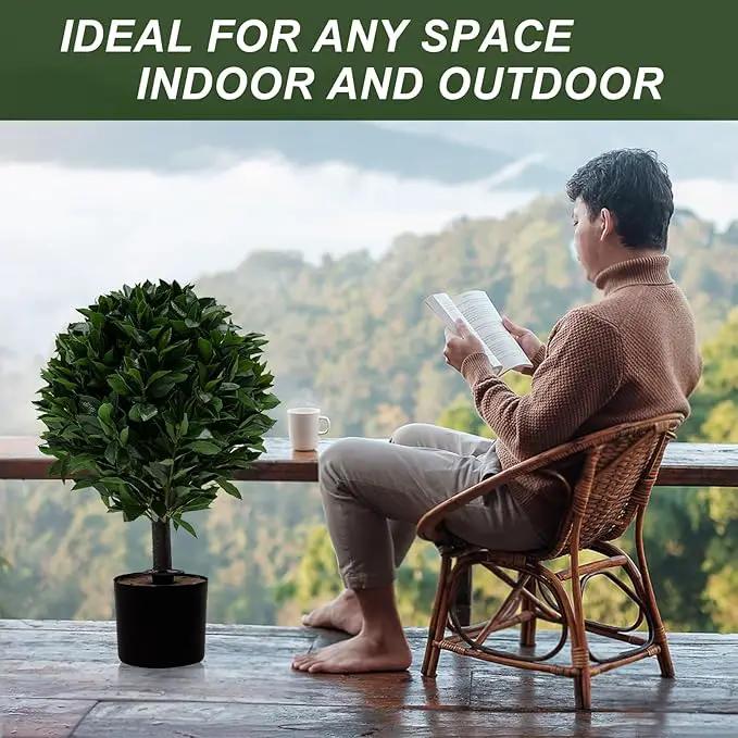 24" Outdoor Evergreens in Outdoor Artificial Shrub Potted Plant Plant for Indoor Porch of Home and Office 2 Pieces a Set Topiary Trees Faux Boxwood with Spike. Easy to Push in The Ground by GreenHaven Gardens