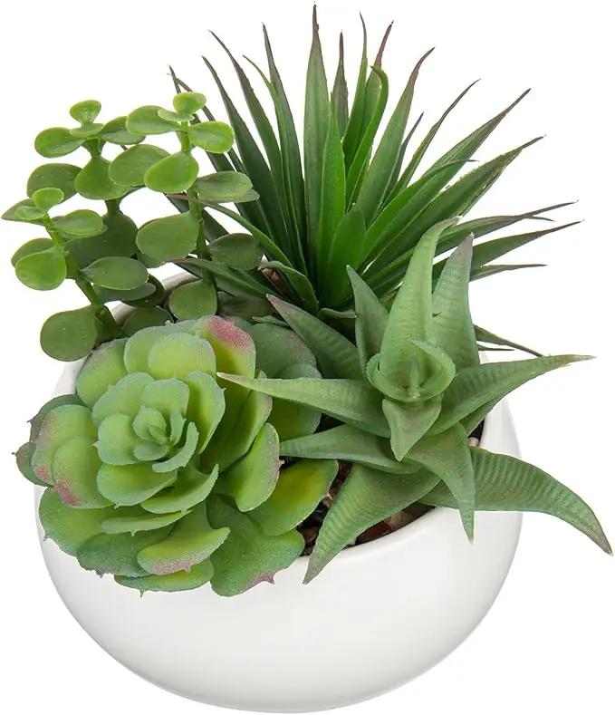 Fake Plants Artificial Succulents in Pots Faux Succulent Arrangement Potted Plant with White Ceramic Pot for Home Decor Modern Office Desk Bathroom Shelf Living Room Indoor Decoration by GreenHaven Gardens