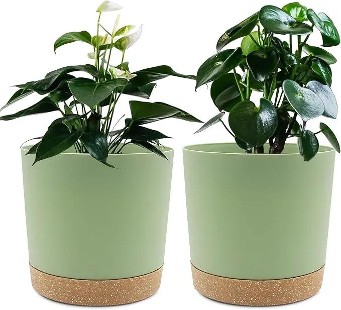 QCQHDU 6.5 inch Plant Pot, 2 Pack Planters for Indoor Plants with Drainage Holes & Saucer, Outdoor Flower Pots Home Garden Modern Decor by GreenHaven Gardens
