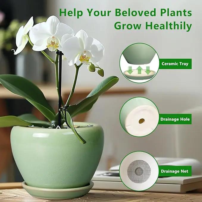 8 Inch Plant Pot - Ceramic Planter for Outdoor Plants Indoor Plant Pot with Drainage Hole and Saucer Mid-Century Round Planter Flower Pot for House Garden Green by GreenHaven Gardens