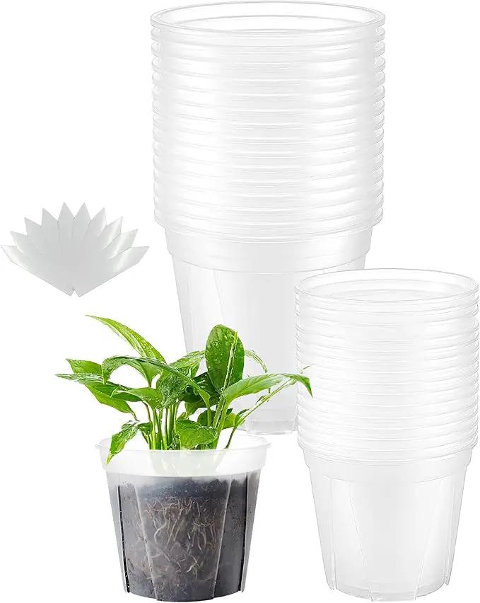 30 pcs 5/6 inch Clear Nursery pots,Thick Plastic Clear Plant pots with Drainage Holes for Orchids,Succulents etc,Outdoor or Indoor use by GreenHaven Gardens