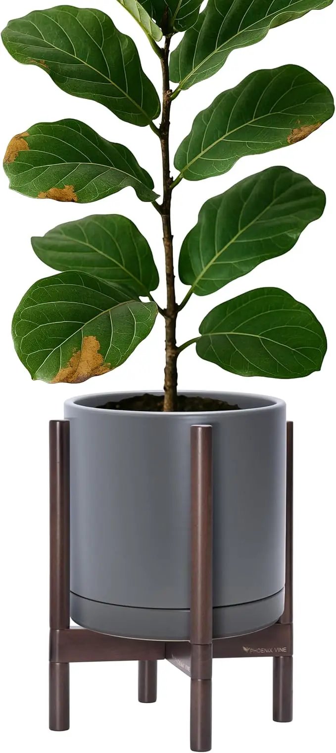 D'vine Dev Ceramic Planter with Walnut Color Stand - 12 Inch Modern Round Flower Pot with Wood Planter Holder, Grey, 55-B-W-3 by GreenHaven Gardens