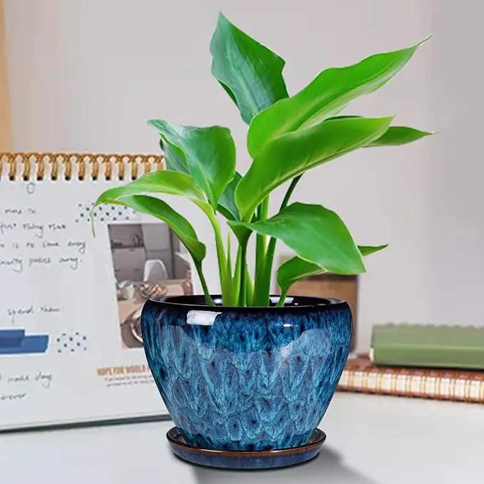 Ceramic Modern Glaze Succulent Planter Pot with Drainage Hole and Saucer 6 Inch Round Flower Plant Pot for Indoor Outdoor Herb Snake Plants by GreenHaven Gardens