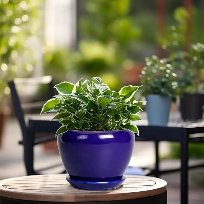 6 Inch Plant Pot - Ceramic Pots for Plants Succulent Pot with Drainage Hole and Saucer Round Planter Outdoor Flower Pot for Herb Snake Plants Blue by GreenHaven Gardens