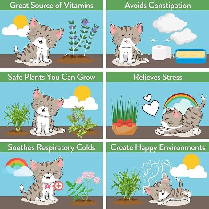 HOME GROWN 2,160+ Cat Plant Seeds Mix – 𝗡𝗢𝗡-𝗚𝗠𝗢 𝗨𝗦𝗔-𝗦𝗢𝗨𝗥𝗖𝗘𝗗 Heirloom Catnip, Lemongrass, Licorice, Thyme & Valerian – Pet-Friendly Indoor Garden Refill Kit for Cats & Kittens by GreenHaven Gardens