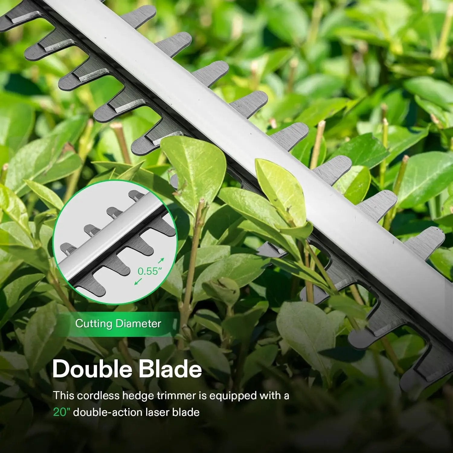 VIVOSUN 20" Cordless Pole Hedge Trimmer, 20V Electric Bush Trimmer with 20” Dual-Action Laser Blade, Adjustable Cutting Head, 0.55" Cutting Capacity, 2.0AH Battery and Fast Charger Included by GreenHaven Gardens