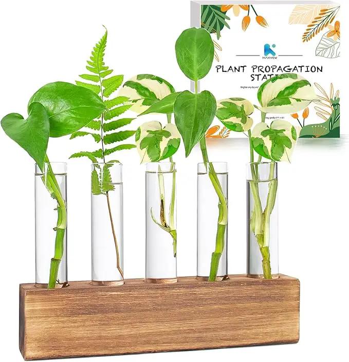KAXYEW Plant Propagation Station, Plants Propagation Tubes, Gifts for Plant Lovers, Plants Cutting Holder Test Tube Vase Office Desk Garden Décor Gift for Her Mom Women Hydroponic Vase Gift Box by GreenHaven Gardens