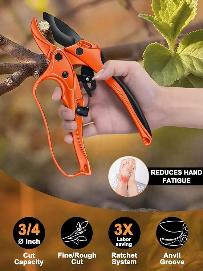 Ratchet Anvil Pruning Shears for Gardening Heavy Duty, Labor-Saving Design Garden Clippers for Arthritis Weak Hands, 3/4" Cut Capacity Branch Cutter for Tree Trimming, Flower, Rose, Plant by GreenHaven Gardens