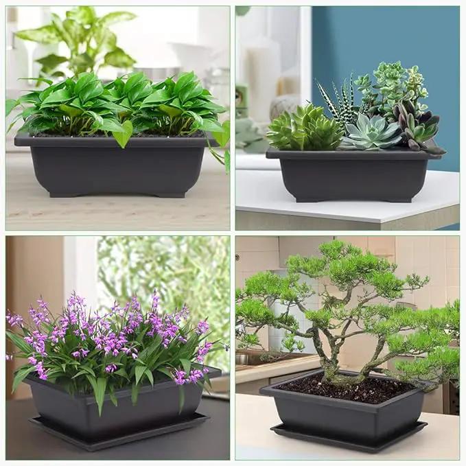 GROWNEER Bonsai Training Pots 3 Packs 9Inch with Drainage Humidity Trays, Bonsai Tree Starter Kits with 1 Repotting Mat, Growing Planter Set for Garden, Yard, Balcony, Office, Living Room by GreenHaven Gardens