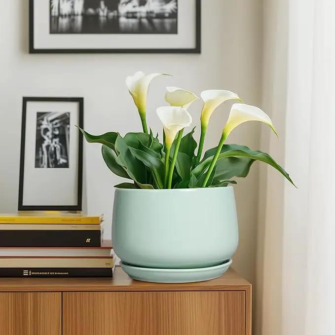 G EPGardening Ceramic Pots for Plants - 9 Inch Ceramic Planter with Drainage and Saucer, Round Planter for Indoor Outdoor Plants, Modern Flower Pots, Garden Decor, Birthday Gifts, Green by GreenHaven Gardens