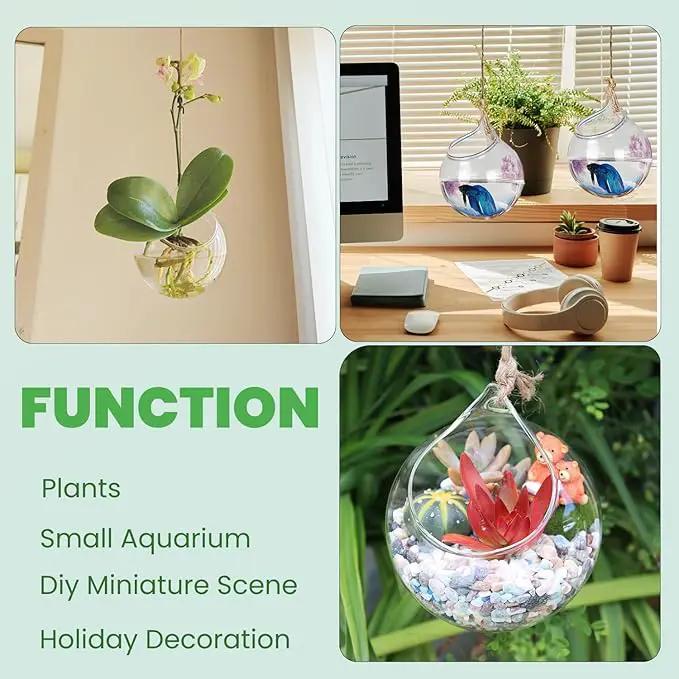 Ivolador Hanging Planter Glass Terrarium Container Air Plant Holder Succulents Globe Shape Home Garden Decor-4.7 Inches-3PCS by GreenHaven Gardens