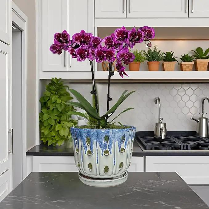 Ceramic Orchid Pot with Drainage Hole 6'' Orchid Planter (Blue Cover White) by GreenHaven Gardens