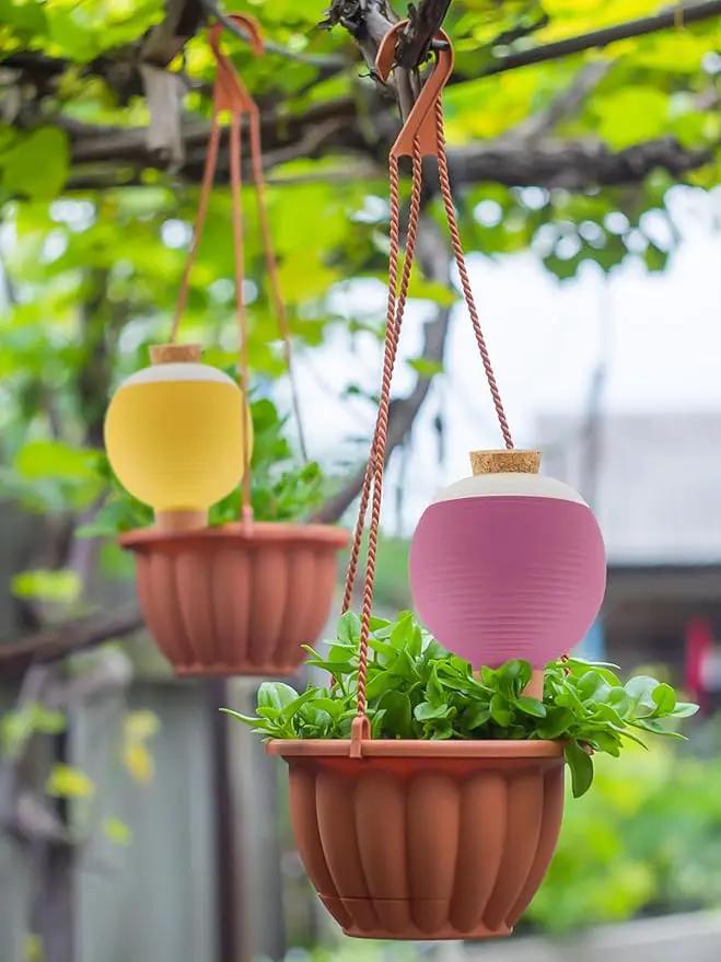 Kalolary 8Pcs Plant Watering Globes, Large Terracotta Automatic Watering Stake Devices with Wooden Stopper for Pots, Planters, Indoor, Outdoor by GreenHaven Gardens