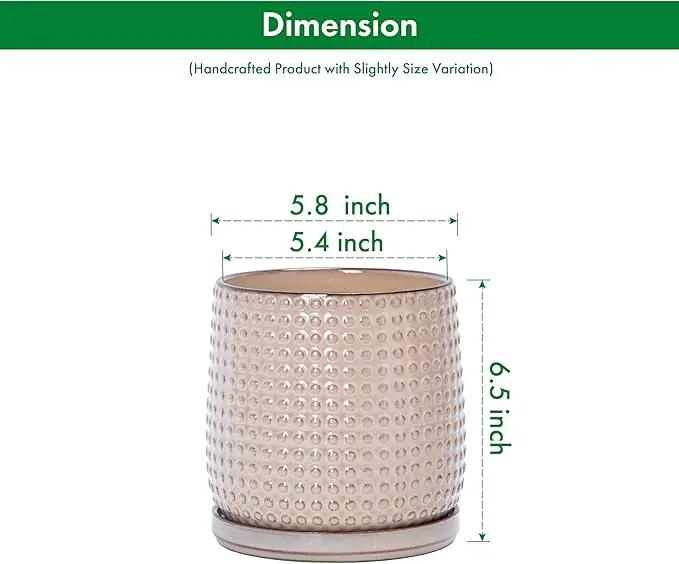 D'vine Dev Set of 2 Ceramic Plants Pots, 6 Inch Beaded Stoneware Flower Pot for Plants with Drainage Hole and Saucer, Light Brown, 27-E-X-4 by GreenHaven Gardens