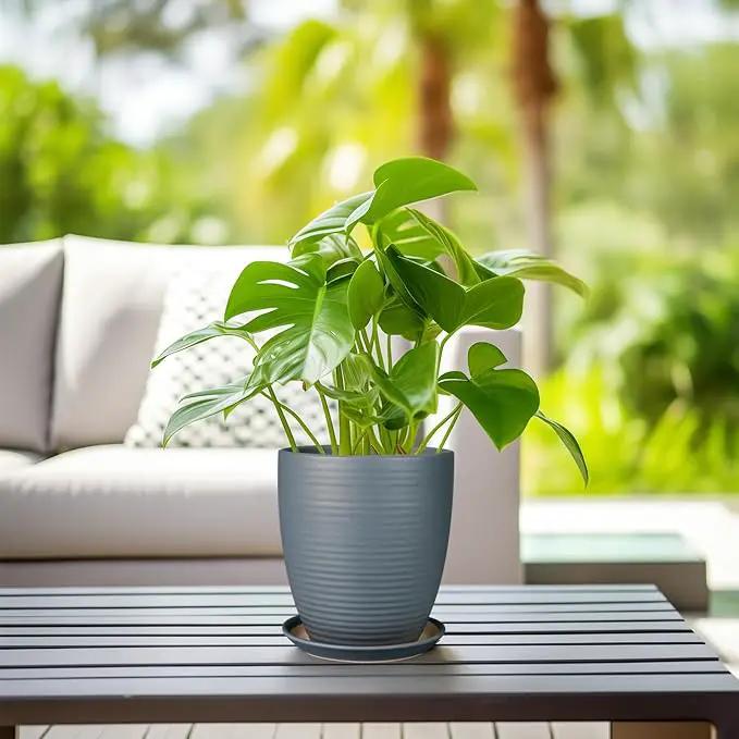 8 Inch Ceramic Plant Pot Large Planter Pot for Plants Indoor Outdoor Glaze Flower Pot with Drainage Hole and Saucer Gray by GreenHaven Gardens
