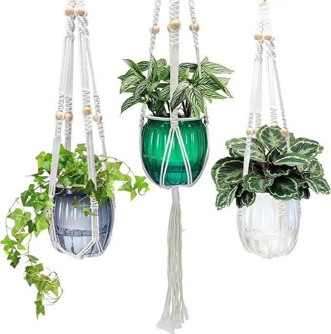 Small Hanging Planters Self Watering 5 Inch, 3 Set Hanging Plant Pot for Indoor Outdoor Plants, Hanging Flower Pots with Drainage Hole & 2 Kinds of Plant Hangers for Garden Home Decor by GreenHaven Gardens