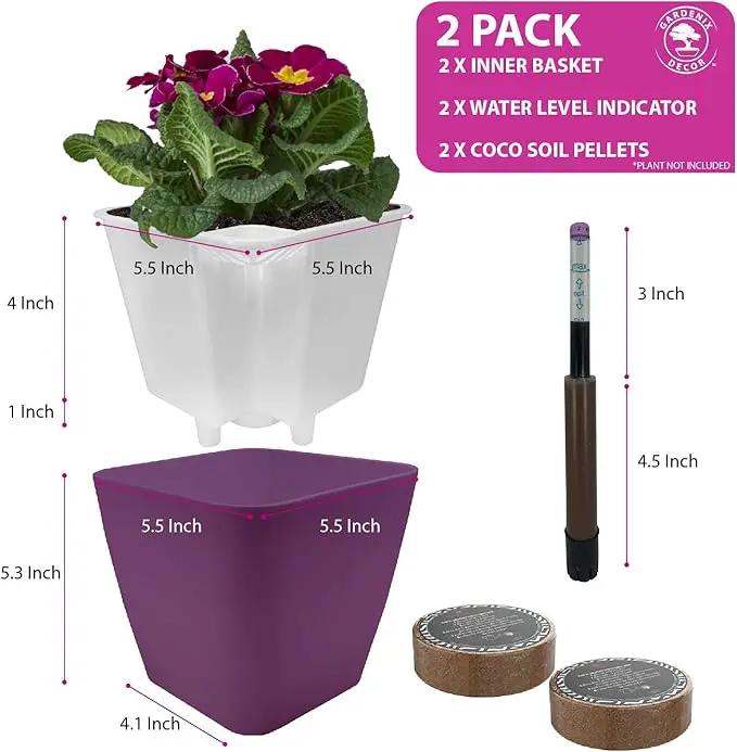 GARDENIX DECOR 5" Self Watering pots for Indoor Plants - Flower Pot with Water Level Indicator for Plants, Grow Tracking Tool - Self Watering Planter Plant Pot – 2 Pack Purple by GreenHaven Gardens