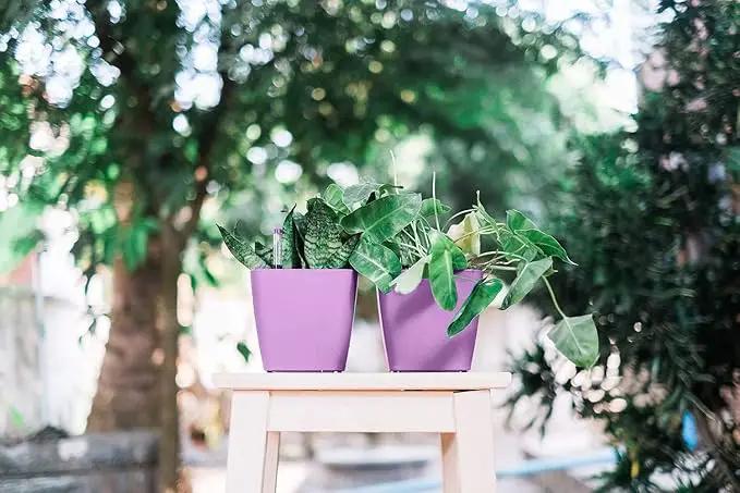 5" Self Watering pots for Indoor Plants - Flower Pot with Water Level Indicator for Plants, Grow Tracking Tool - Self Watering Planter Plant Pot – 2 Pack Purple by GreenHaven Gardens