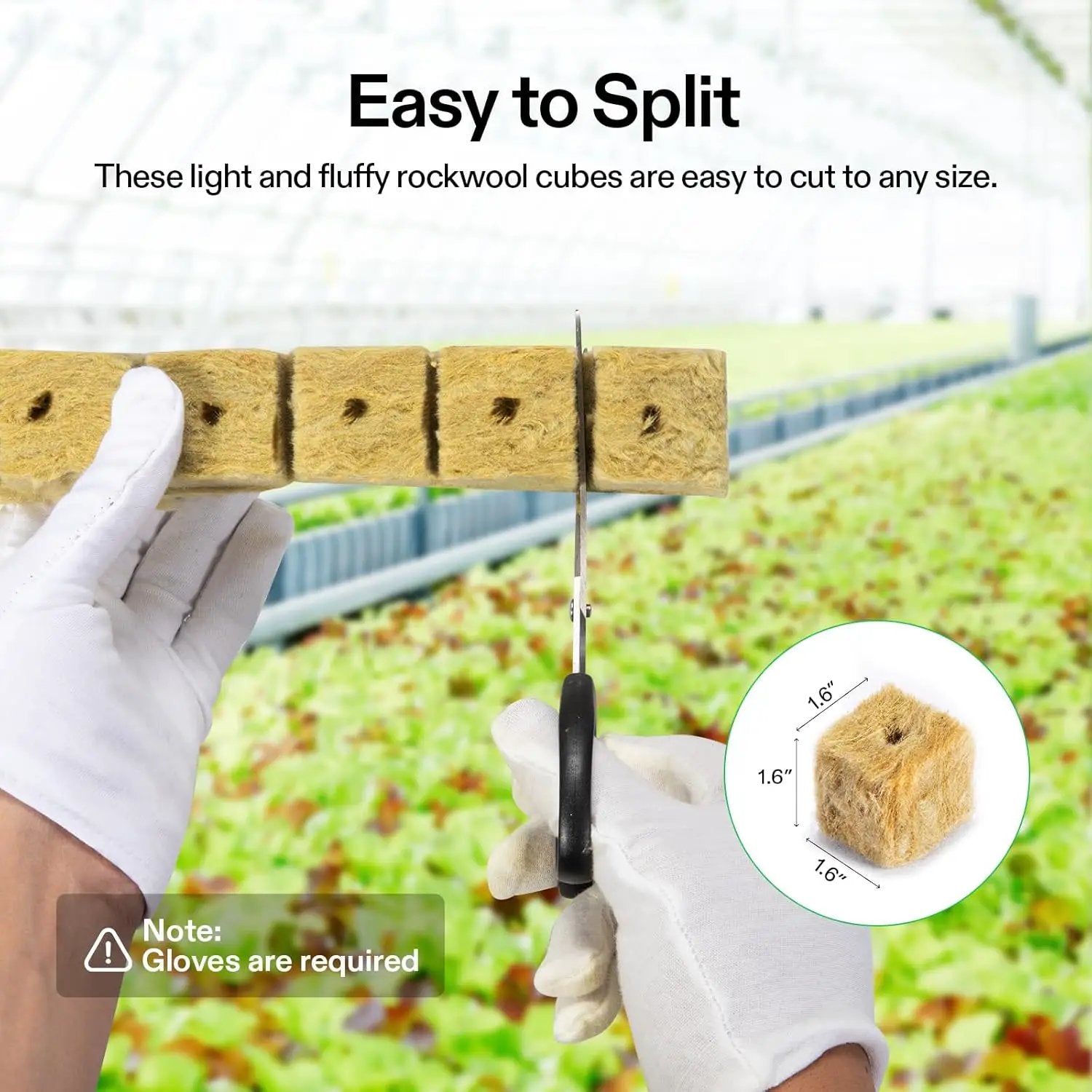 VIVOSUN 1.6" Rockwool Cubes, 28 Plugs Stonewool Starter Grow Cubes for Cuttings, Cloning, Plant Propagation, Seed Starting, Hydroponic Grow Media for Vigorous Plant Growth, 1 Sheets of 28 Plugs by GreenHaven Gardens