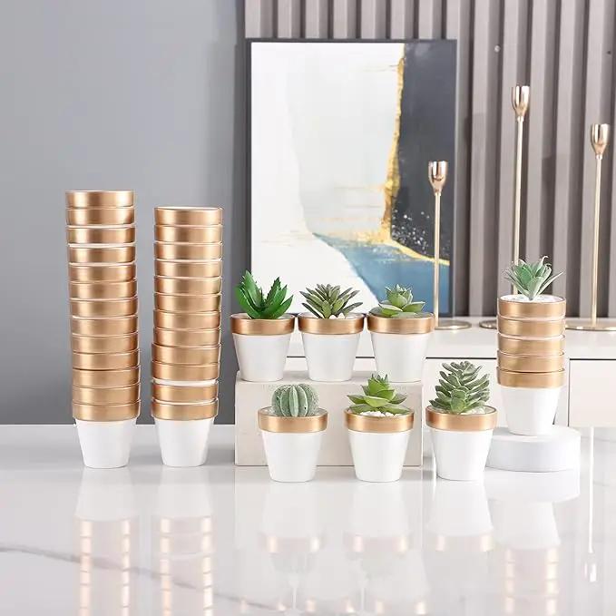 Yishang 36 pcs Small Mini White&Gold Clay Pots, 2.5'' Terracotta Pot Clay Ceramic Pottery Planter,Cactus Flower Terra Cotta Pots,Succulents Nursery Pots,with Drainage Hole, for Crafts,Wedding Favor by GreenHaven Gardens