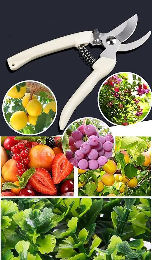 2PCS Garden Flower Shears Pruning Shears 6.9 inches Scissors Heavy Duty Plant Scissors for Cutting Flowers, Trimming Plants, Bonsai, Fruits Picking (White Handle 2pcs) by GreenHaven Gardens