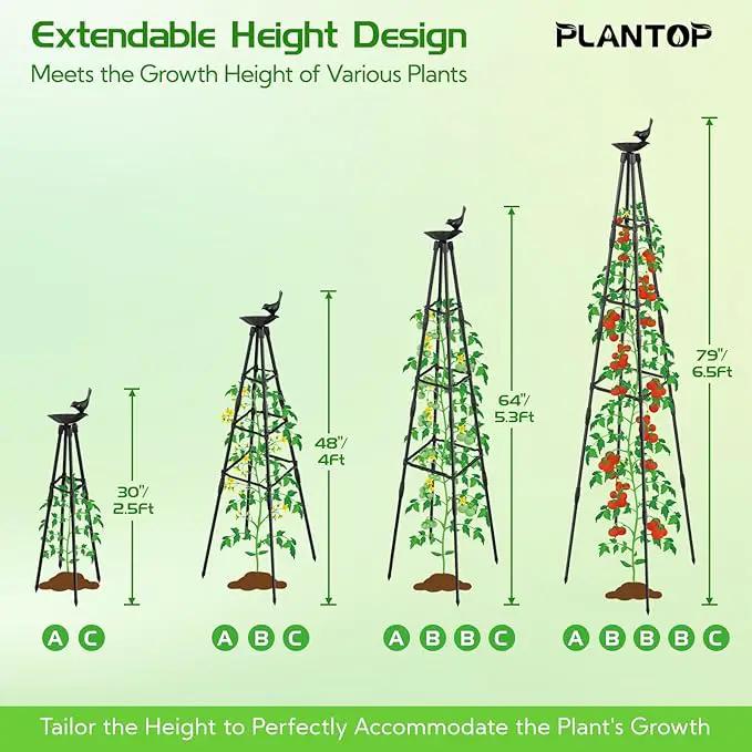2 Pack Garden Obelisk Trellis for Climbing Plants | 79 Inches Tall Rustproof Metal Plant Support Trellis | Adjustable Garden Tower Trellis for Indoor Outdoor Vines Vegetables Flowers by GreenHaven Gardens