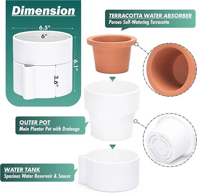 Phoenix Vine 6.5 Inch Self-Watering Planter Pot with Terracotta Insert, Deep Water Reservoir, and Ceramic-Alike BPA-Free Plastic Pot for Plant, Modern Planter for Houseplants, White, 53-A-S-1 by GreenHaven Gardens