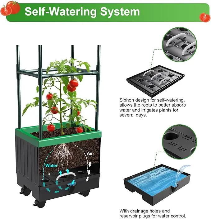 Raised Garden Bed Planter Boxes with Trellis,1pcs 70.9"Self-Watering Tomato Planter Boxes with Trellis for Climbing Vegetables Plants Flowers Tomato with Wheels,Use for Indoor Outdoor (Black) by GreenHaven Gardens
