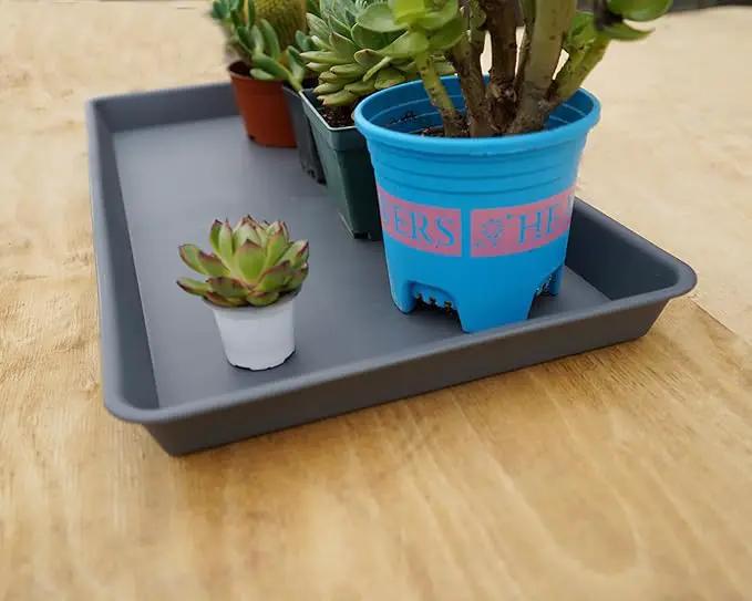 Plant Saucer Growing Tray, Seed Starter Tray Rectangular, Heavy Sturdy Plastic Plant Saucers Drainage Trays, Plant Drip Trays for Pots, Seed Starter Growing Tray (11 x 9 inch, 1 Pack) by GreenHaven Gardens