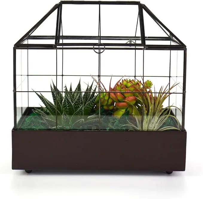 Large Tall Plant Terrarium Glass Greenhouse with Lid and Tray, Indoor Tabletop Orchid Succulent Cacti Kit 9.5'X9.8'X5.6' by GreenHaven Gardens