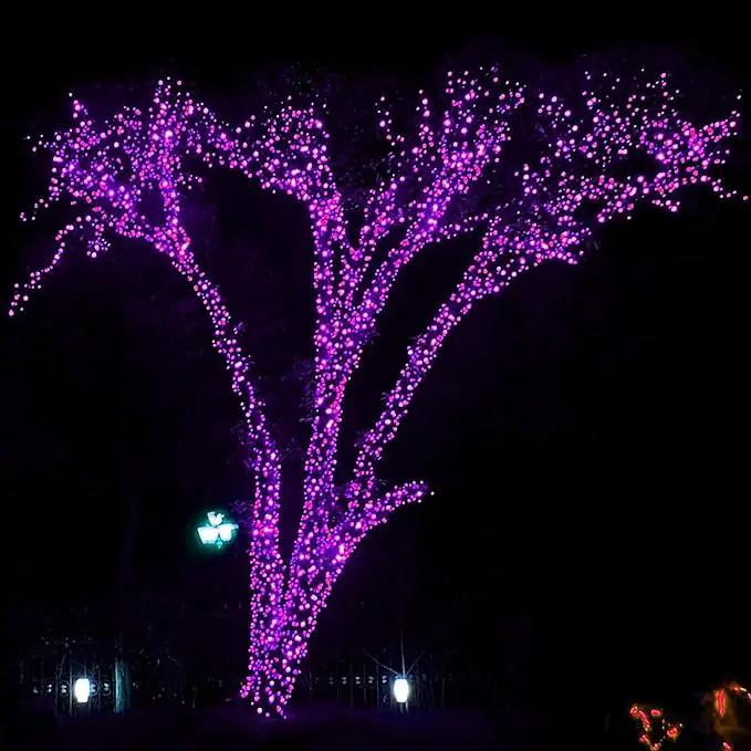 DAZZLE BRIGHT Halloween 300 LED String Lights, 100FT Connectable String Lights with 8 Lighting Modes, Halloween Decorations for Party Carnival Supplies, Indoor Outdoor Yard Garden Decor (Purple) by GreenHaven Gardens