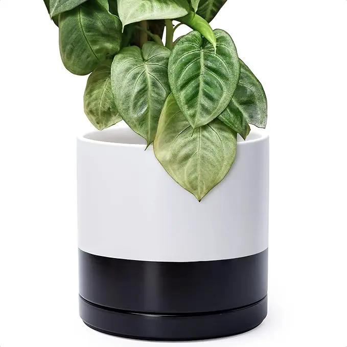 D'vine Dev 12 Inch Ceramic Planter Pot with Drainage Hole and Saucer, Indoor Cylinder Round Planter Pot, Layered Monochrome Black & White, 94-O-F-L by GreenHaven Gardens