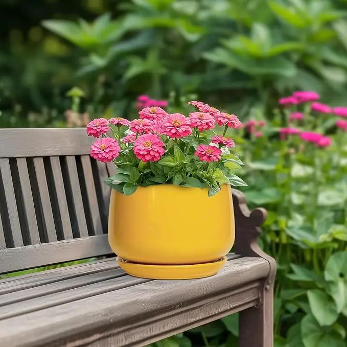 G EPGardening Ceramic Pots for Plants - 7 Inch Plant Pot with Drainage Hole and Saucer, Modern Ceramic Planter for Indoor Outdoor, Round Flower Planter, Gifts for Plants Lovers, Home Decor, Yellow by GreenHaven Gardens