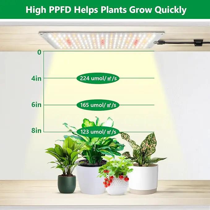 Grow Lights for Indoor Plants, Full Spectrum Under Shelf Plant Lights for Growing Small Plants, Light and Thin 138 LED Plant Grow Lamp Panel with 6/12/16H Timer, 3 Light Modes, 5 Dimmable by GreenHaven Gardens