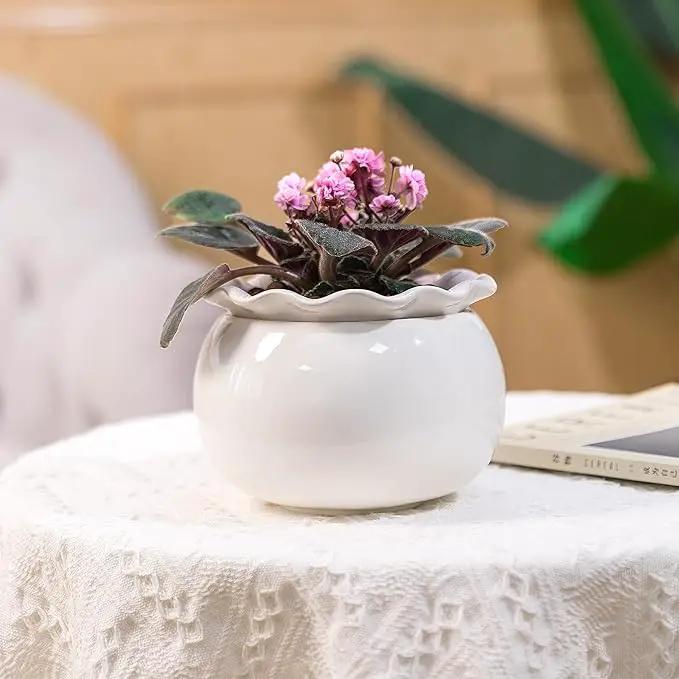 African Violet Pots 6 Inches Ceramic, Effortless Self Watering Pots for Indoor Plants for Busy Plant Lovers, Easy Plant Self Watering Pot, Plant Pots, Flower Pot, Plant pots Indoor by GreenHaven Gardens