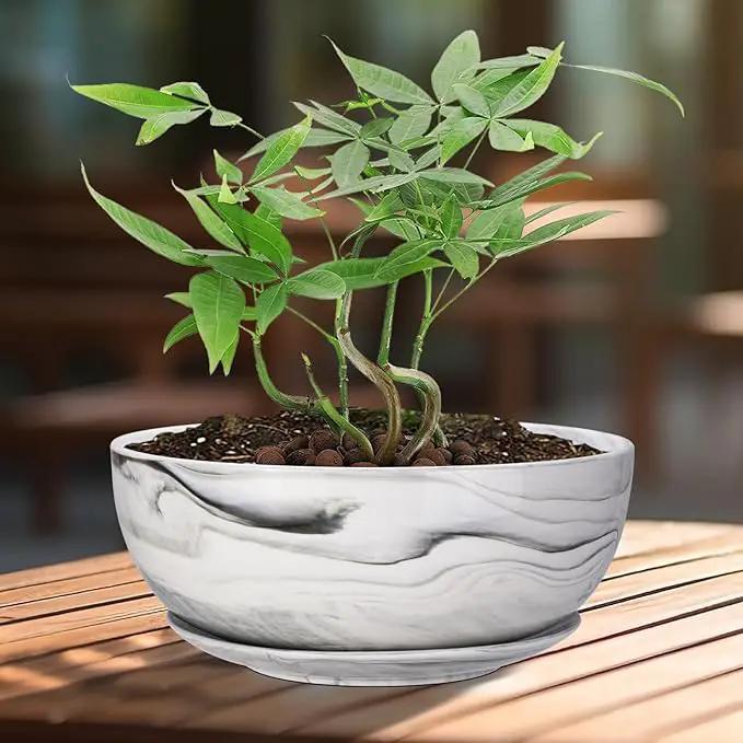 G EPGardening 10Inch Large Planter Pot Marble Pattern Ceramic Succulent Planter Big Plant Pot Succulents Container Flower Pot Indoor Outdoor Decor by GreenHaven Gardens