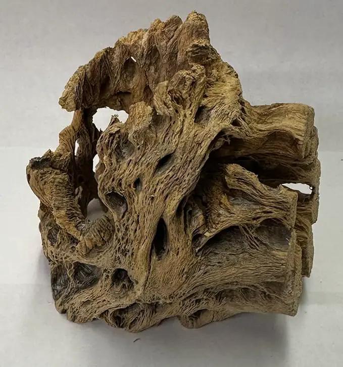 Natural Cholla Wood Chunk Air Plant Display Holders Individually Unique Decorative Stands Holder (Cholla Chunk) by GreenHaven Gardens
