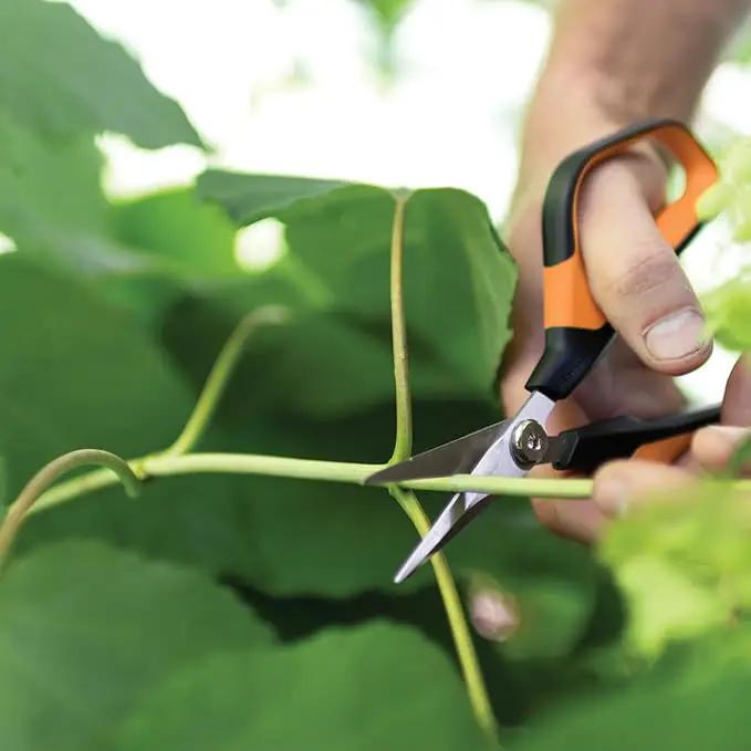 Fiskars Comfort Loop Micro-Tip Pruning Snips - 7" Garden Shears with Sheath and Extra Large SoftGrip Handle - Yard and Garden Tools - Orange/Black by GreenHaven Gardens