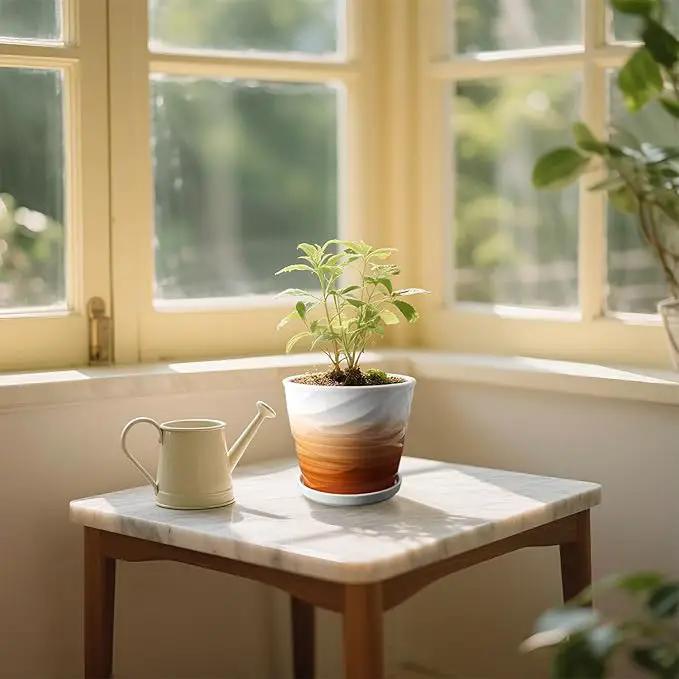 6.7 + 5.5 Inch Plant Pot, Ceramic Planter with Drainage and Saucer，Ceramic Pots for Plants, Indoor Plant pots，planters for Indoor Plants(Khaki + White) by GreenHaven Gardens