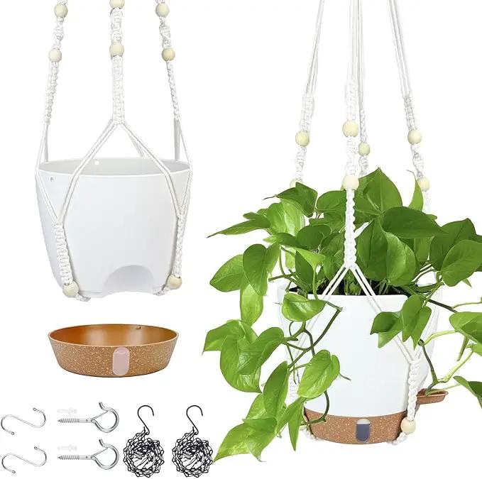 Hanging Planter for Indoor Plants 8 Inch, 2 Pack Hanging Baskets for Plants, Self Watering Hanging Flower Pots with Drainage Hole & 2 Kinds of Plant Hangers for Garden Home Decor (White, 8 inch) by GreenHaven Gardens