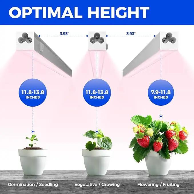 Barrina Grow Lights for Indoor Plants, Full Spectrum Sunlight, 1ft Plant Light for Indoor Growing, LED Grow Light Bulbs, T5 Grow Light Strip, Plug and Play, Pinkish White, 8-Pack by GreenHaven Gardens